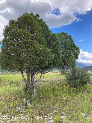 $68,000 | Lot 14 Ponderosa Court, Thayne, WY 83127