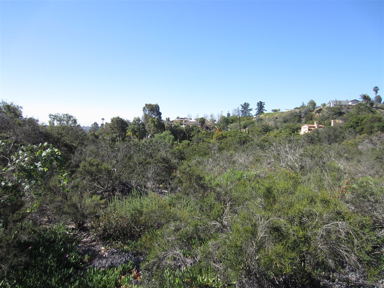 0 Ranch View Terrace Encinitas, CA 92024 - Photo 2 of 14