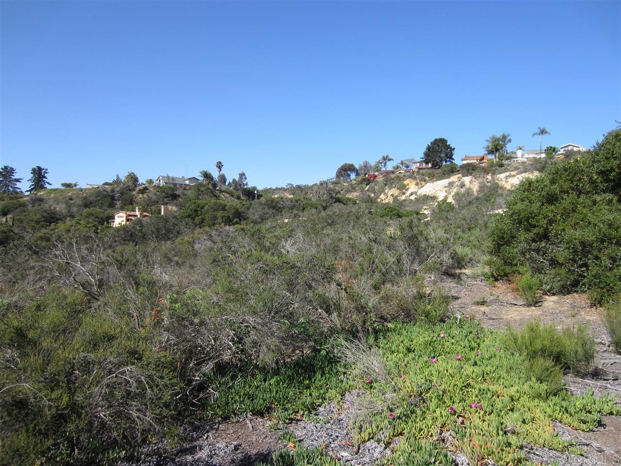 0 Ranch View Terrace Encinitas, CA 92024 - Photo 3 of 14