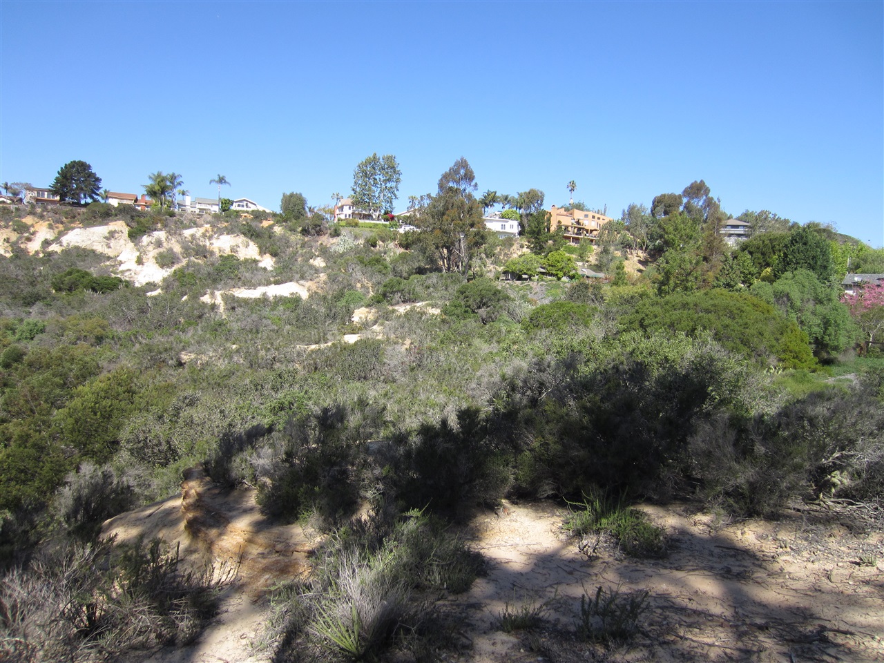 0 Ranch View Terrace Encinitas, CA 92024 - Photo 7 of 14