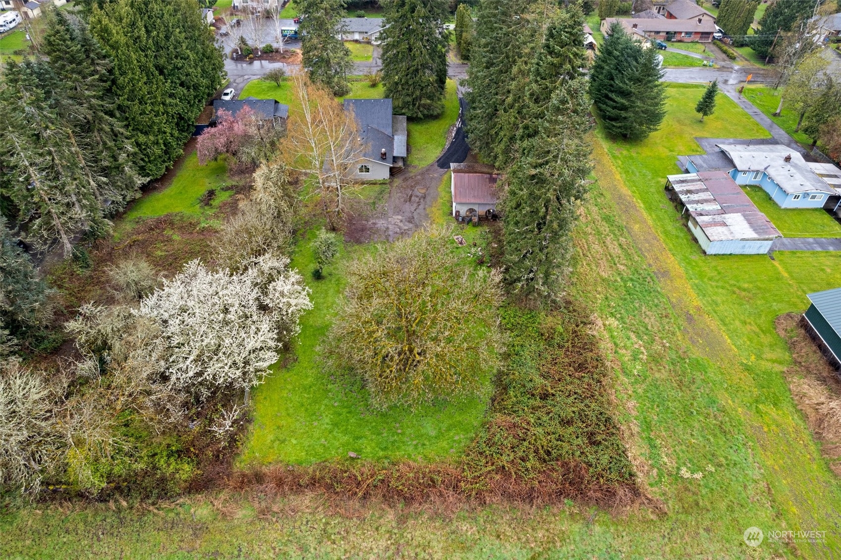 1212 Long Road Centralia, WA 98531 - Photo 32 of 40 a view of a yard with plants