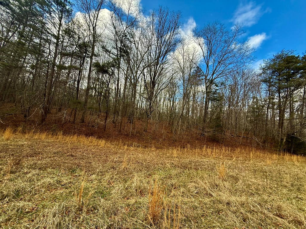 0 Cedar Springs Road Turtletown, TN 37391 - Photo 3 of 10 a view of backyard with green space