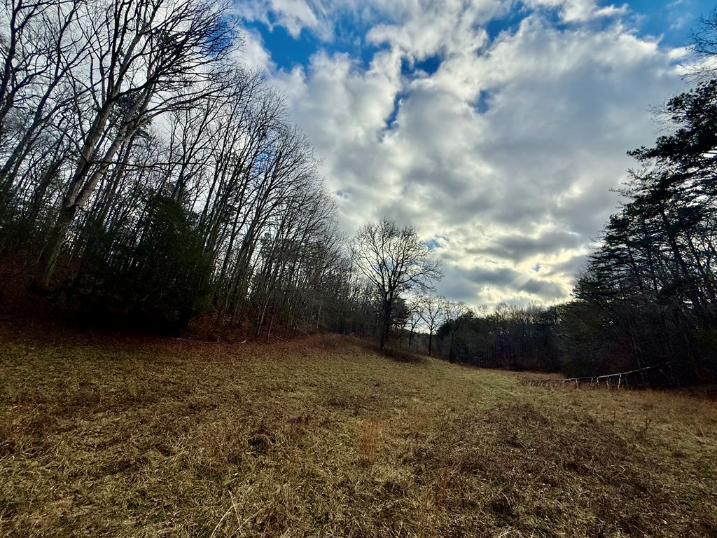 0 Cedar Springs Road Turtletown, TN 37391 - Photo 5 of 10 a view of outdoor space and yard