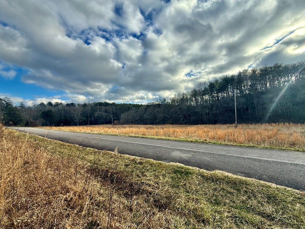 0 Cedar Springs Road Turtletown, TN 37391 - Photo 6 of 10 a view of a yard