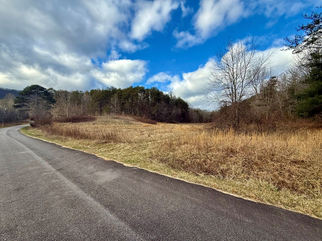 0 Cedar Springs Road Turtletown, TN 37391 - Photo 7 of 10 a view of ocean
