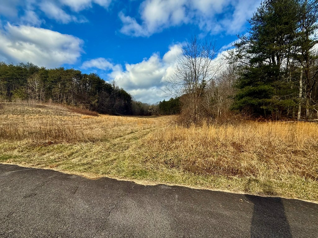 0 Cedar Springs Road Turtletown, TN 37391 - Photo 8 of 10 a view of mountain view with lake view