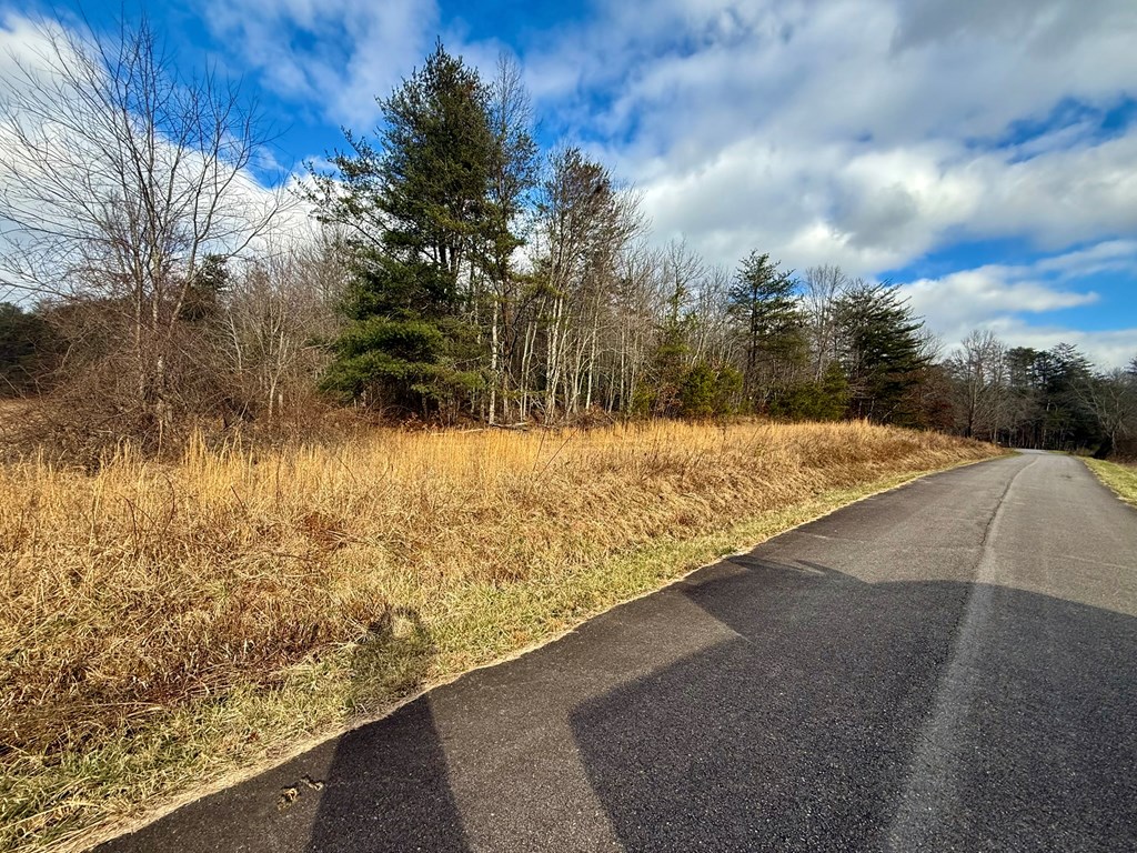 0 Cedar Springs Road Turtletown, TN 37391 - Photo 9 of 10 a view of ocean