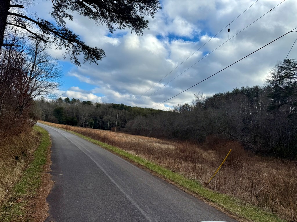 0 Cedar Springs Road Turtletown, TN 37391 - Photo 10 of 10 a view of a pathway with a wrought fence