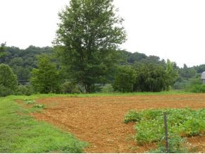 Tbd Bob Clark Road, Unit 2 Jonesborough, TN 37659 - Photo 5 of 12 Photo 5