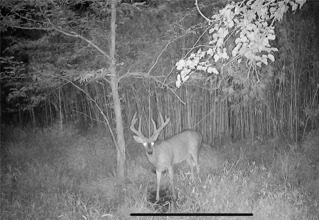 $6,502,000 | 14030 Ode Road, Platte City, MO 64079