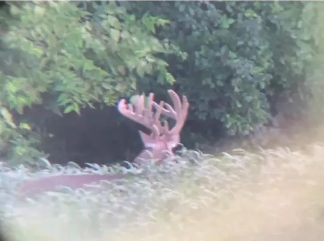 $6,502,000 | 14030 Ode Road, Platte City, MO 64079