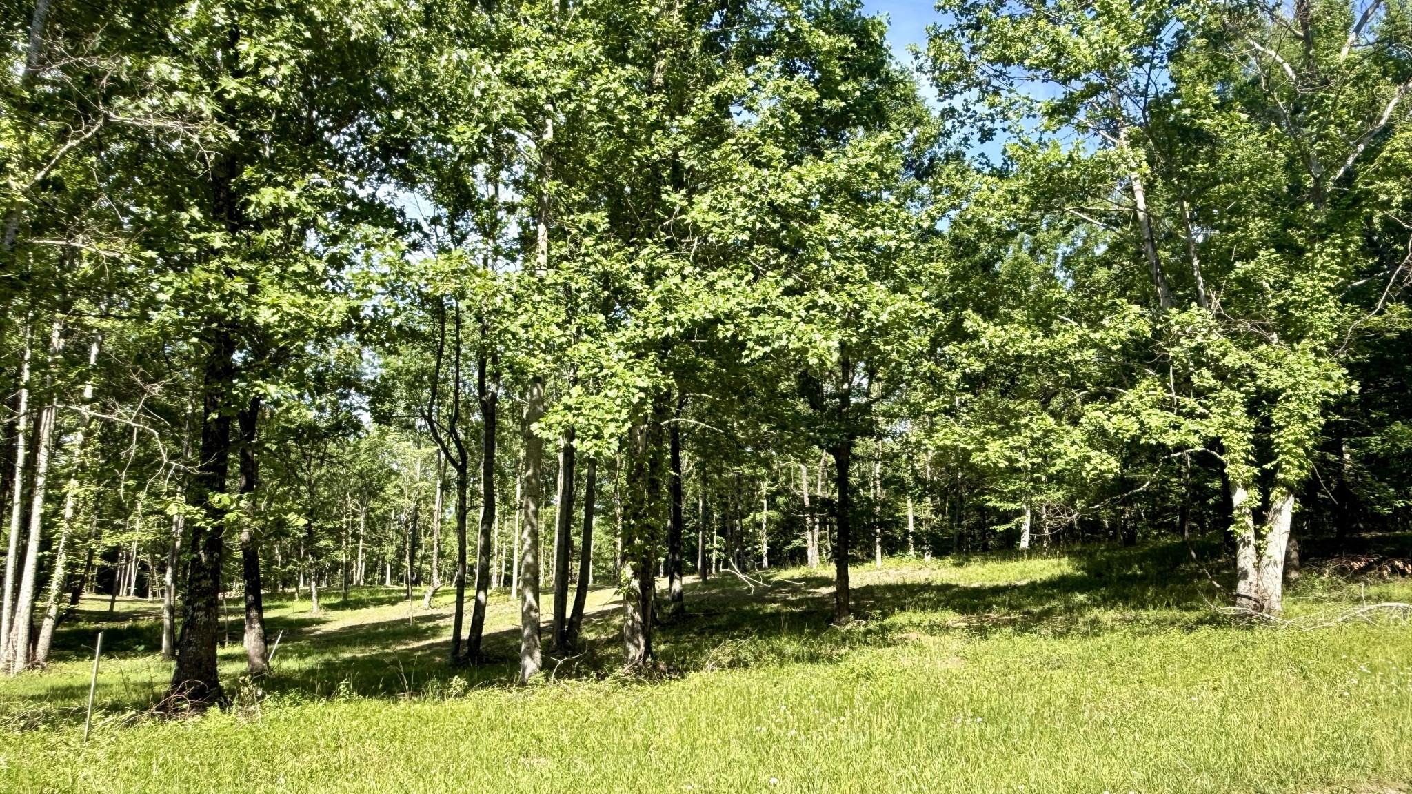 6 Hobbstown Road Dunlap, TN 37327 - Photo 10 of 22 Gallery Image 10