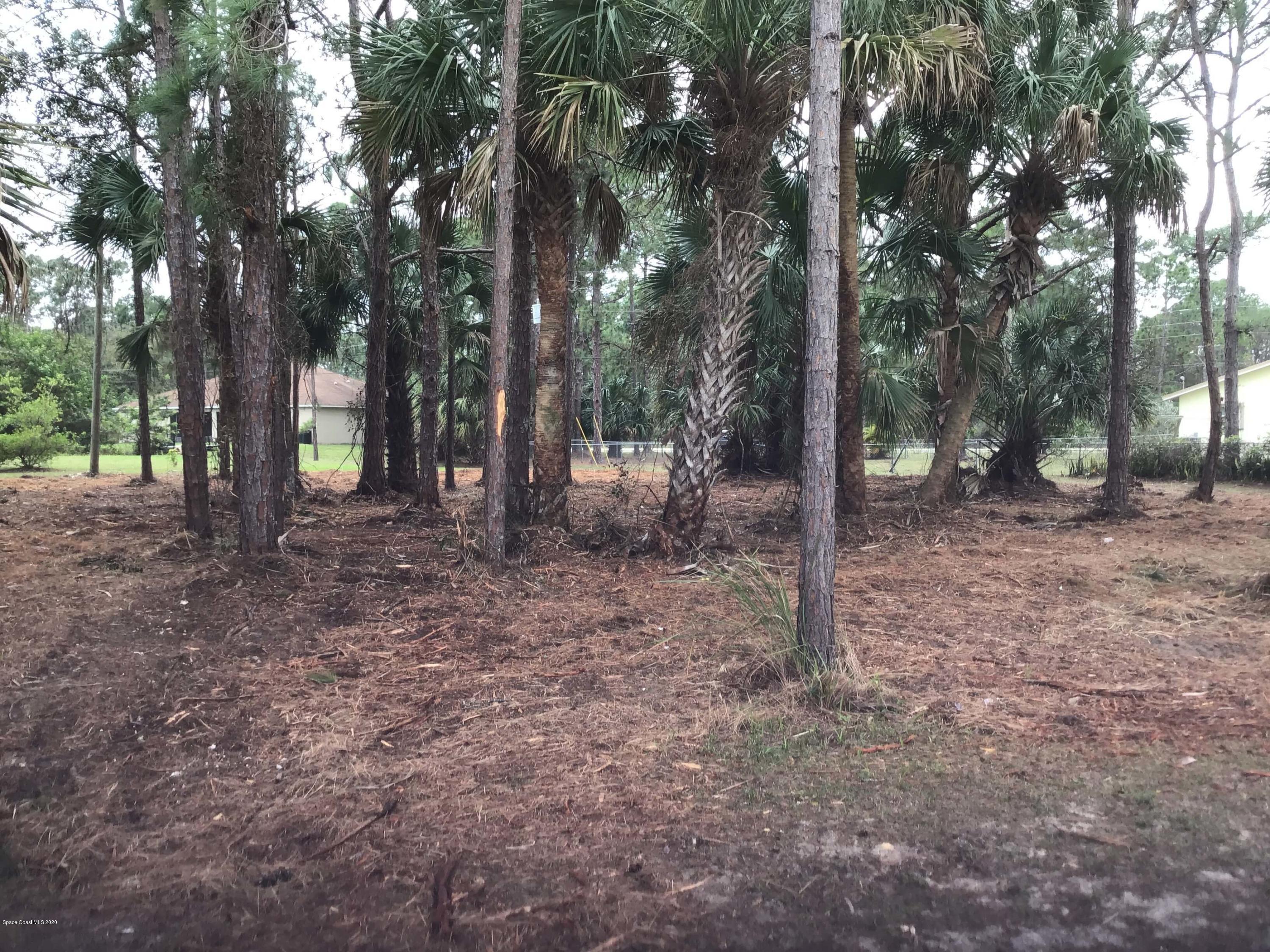 1270 Saxony Road Southwest Palm Bay, FL 32908 - Photo 3 of 12 Nueva 3