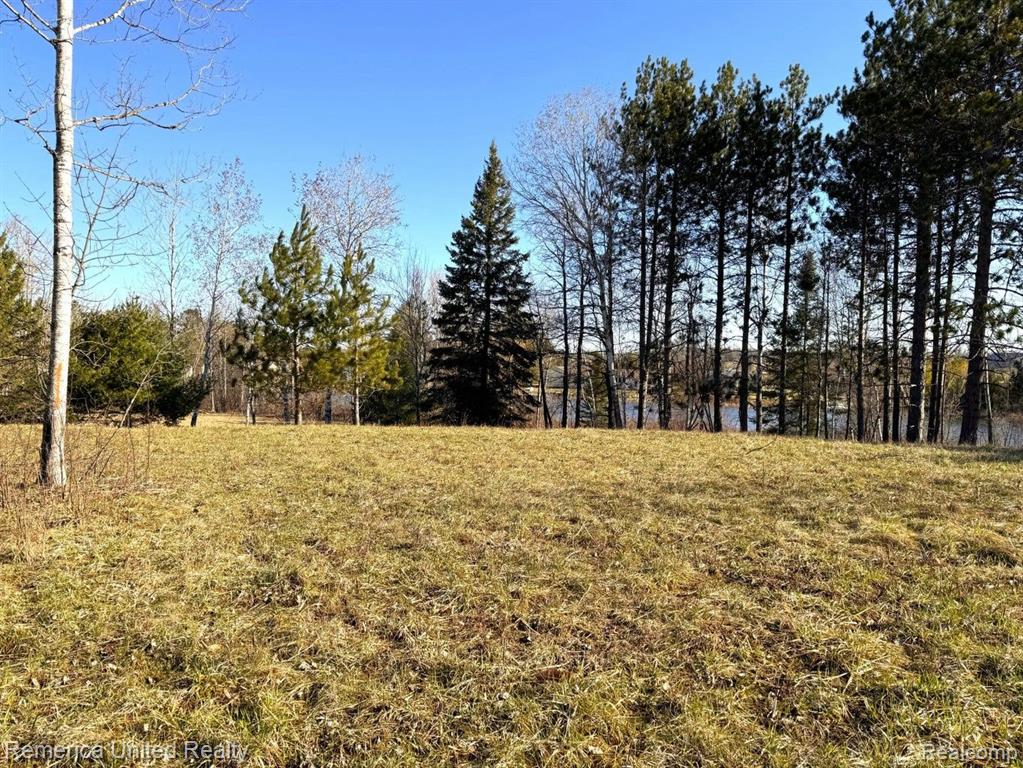 4052 South River Road Cheboygan, MI 49721 - Photo 15 of 15