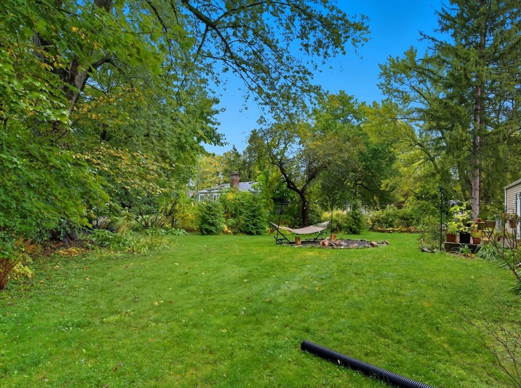 551 West Street Amherst, MA 01002 - Photo 34 of 39 a view of a park with a tree