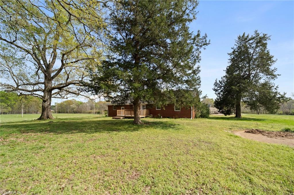 1561 Handy Road Denton, NC 27239 - Photo 5 of 45