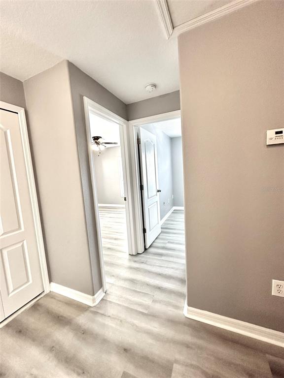 5364 Quarry Rock Road Lakeland, FL 33809 - Photo 15 of 20