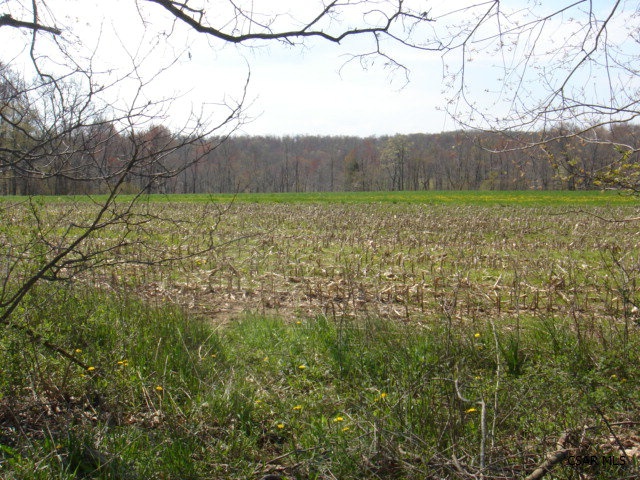 Lot 5 Duppstadt Road Markleton, PA 15551 - Photo 1 of 1 Gallery Image 1