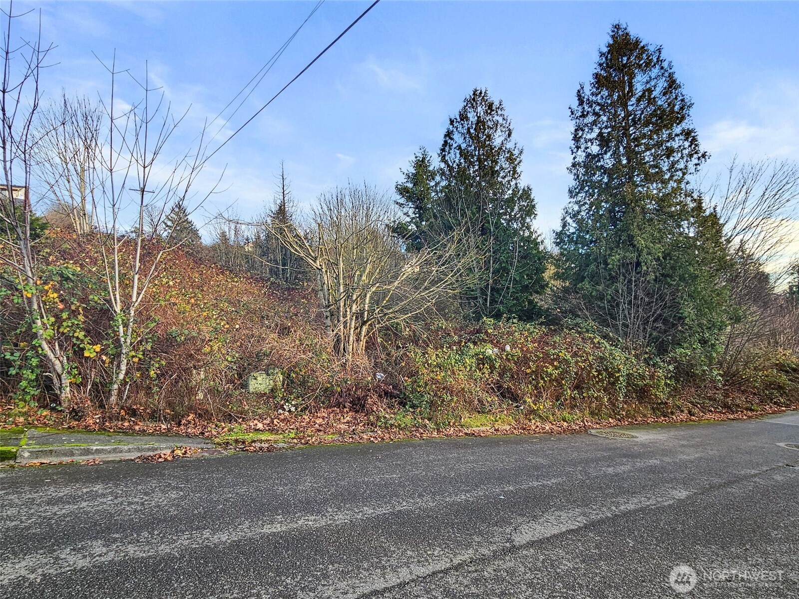 63 19th Street Northeast Tacoma, WA 98422 - Photo 14 of 22 a view of road and trees