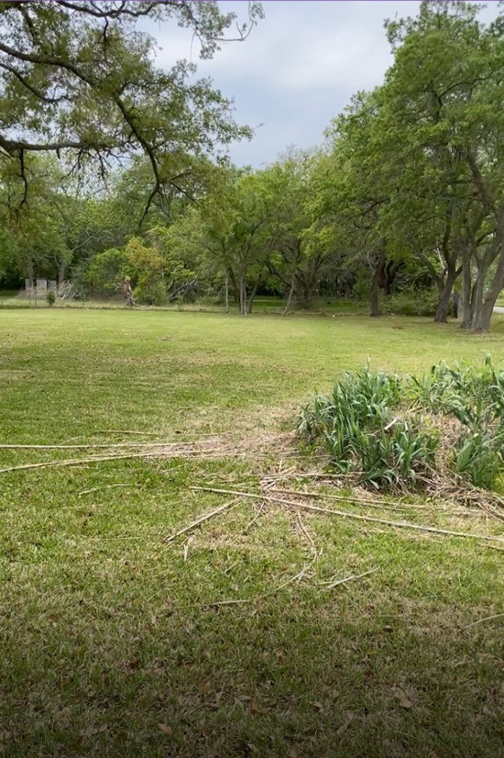 2702 Lake Road La Marque, TX 77568 - Photo 3 of 5