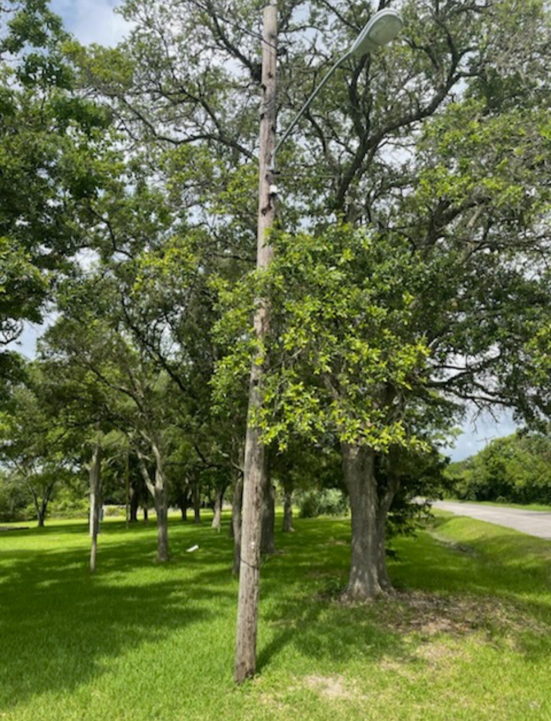 2702 Lake Road La Marque, TX 77568 - Photo 5 of 5