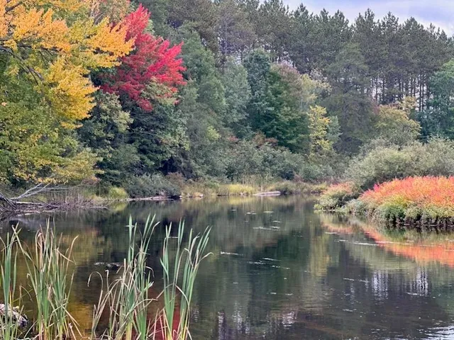 $539,000 | 11305 M M, Crandon, WI 54520