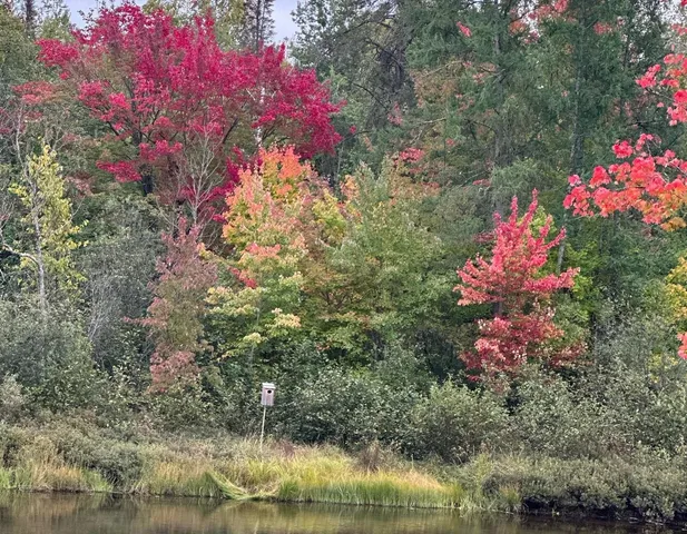 $539,000 | 11305 M M, Crandon, WI 54520