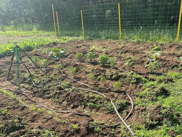 $515,000 | 11305 Cth M, Crandon, WI 54520