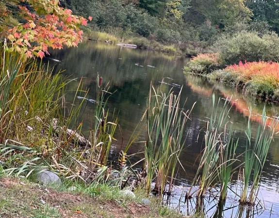 $515,000 | 11305 Cth M, Crandon, WI 54520