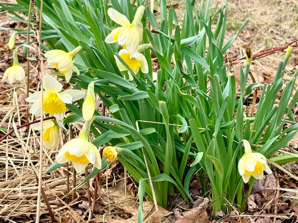 $515,000 | 11305 Cth M, Crandon, WI 54520