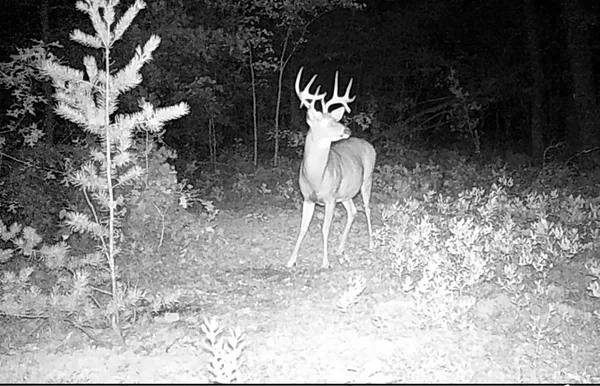 $515,000 | 11305 Cth M, Crandon, WI 54520