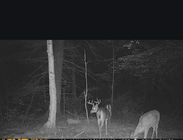 $515,000 | 11305 Cth M, Crandon, WI 54520