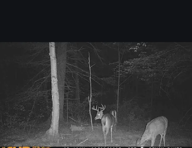 $539,000 | 11305 M M, Crandon, WI 54520