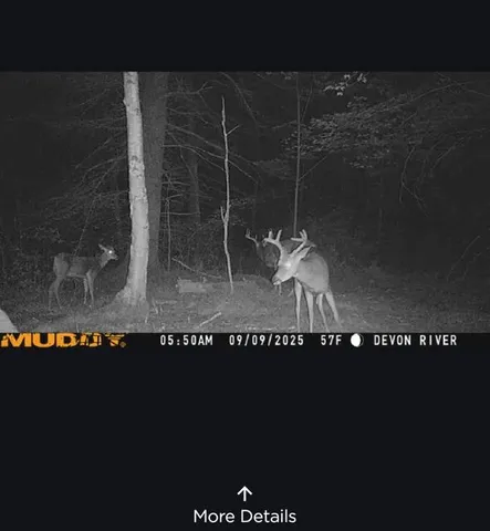 $539,000 | 11305 M M, Crandon, WI 54520