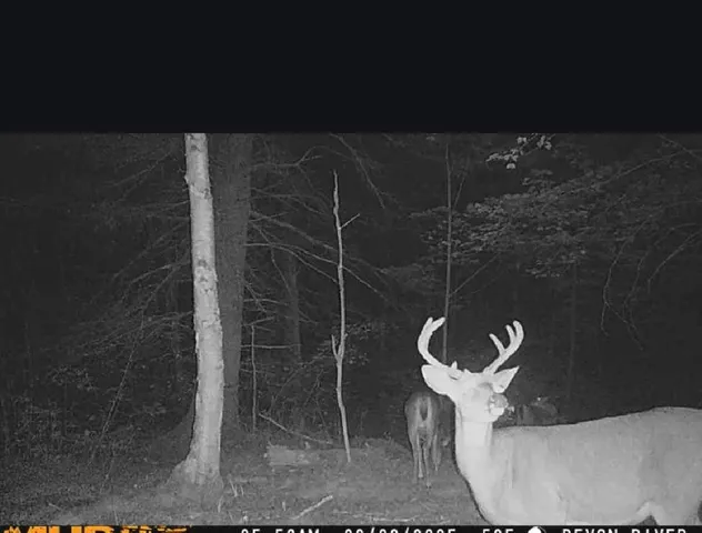 $539,000 | 11305 M M, Crandon, WI 54520