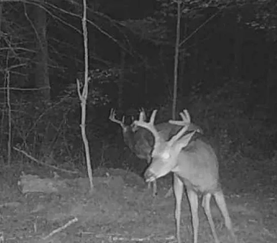 $539,000 | 11305 M M, Crandon, WI 54520