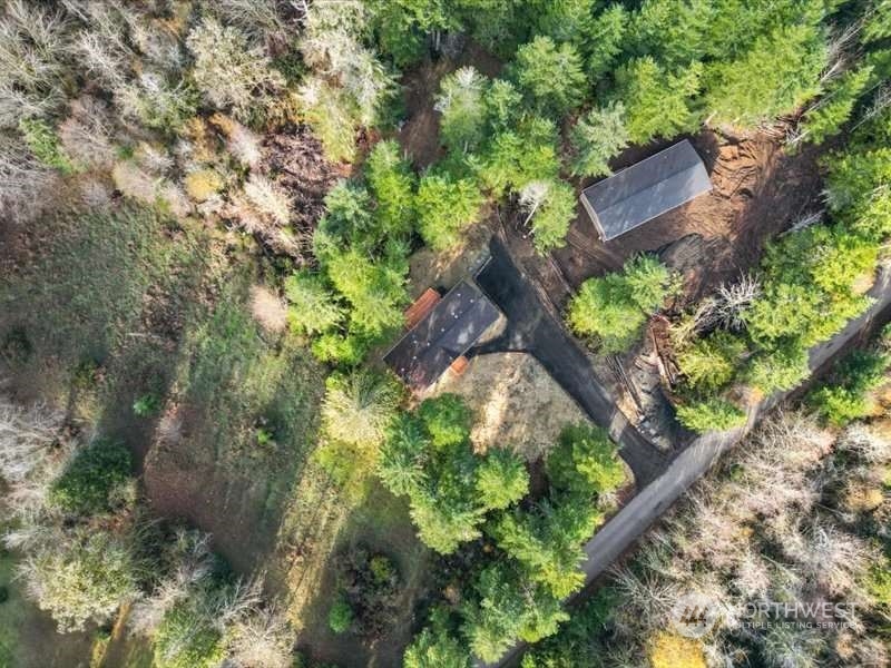 670 East Wilson Way Grapeview, WA 98546 - Photo 19 of 36 a picture of trees