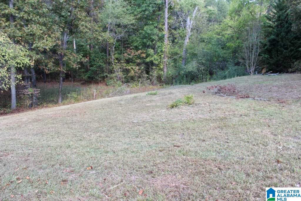 909 Mountain Brook Road Oxford, AL 36203 - Photo 42 of 49
