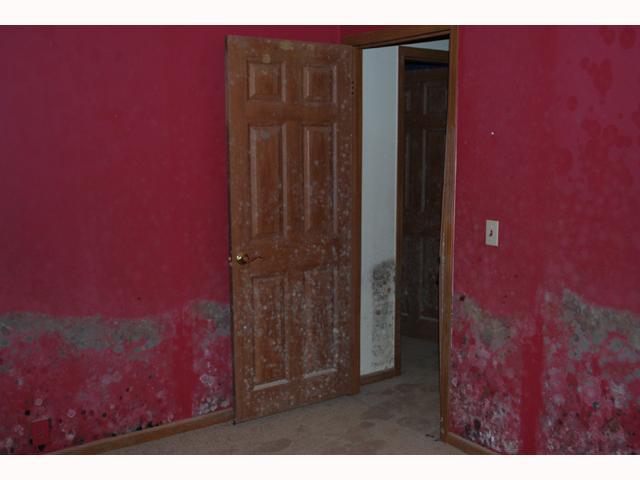8206 West Base Line Road Paragon, IN 46166 - Photo 12 of 12