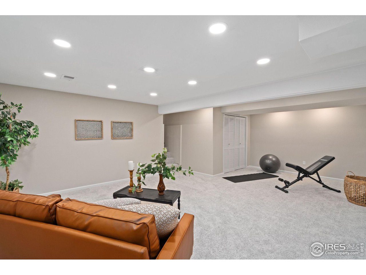 430 Del Clair Road Fort Collins, CO 80525 - Photo 14 of 20 Large basement room or optional bedroom 5 with adjacent storage or optional walk-in closet.