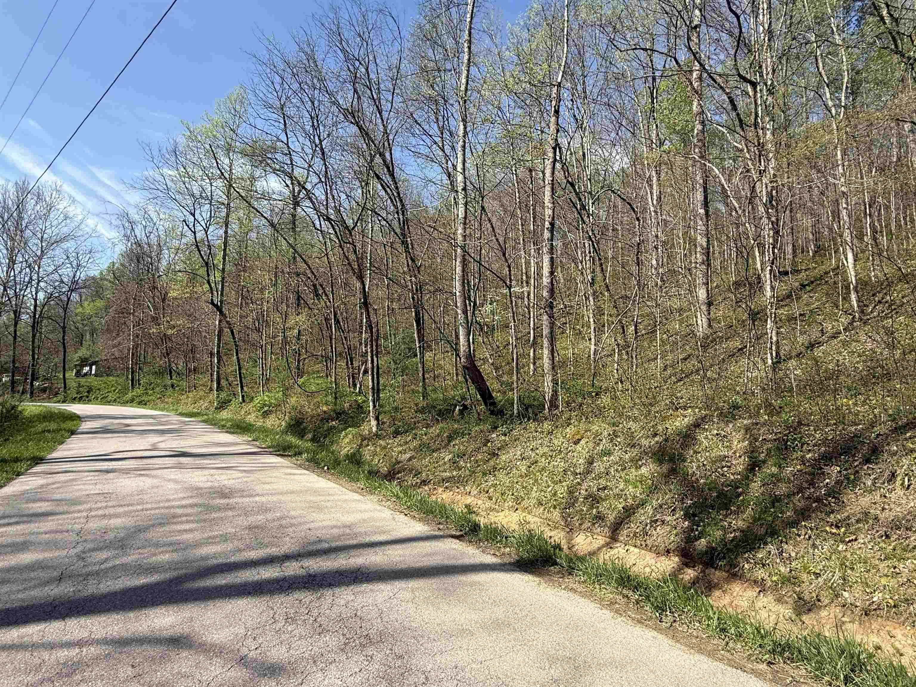 0 Brinegar Road Olive Hill, KY 40351 - Photo 8 of 10