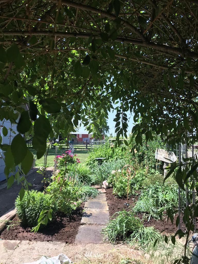 141 Rogers Road Prescott, WA 99348 - Photo 26 of 40 a picture of plants