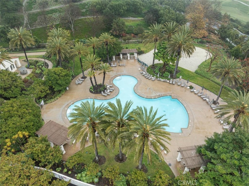 704 Corte Buscando San Clemente, CA 92673 - Photo 42 of 43 a view of a swimming pool with a yard