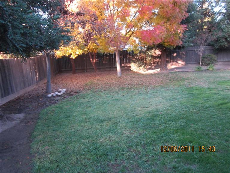 184 West Carpenter Avenue Reedley, CA 93654 - Photo 8 of 10 Gallery Image 8