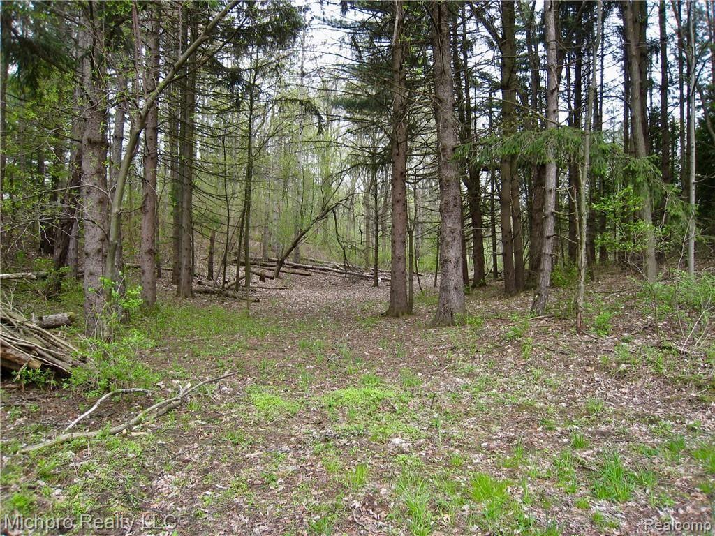 Parcel 2 South Lapeer Road Metamora, MI 48455 - Photo 2 of 17