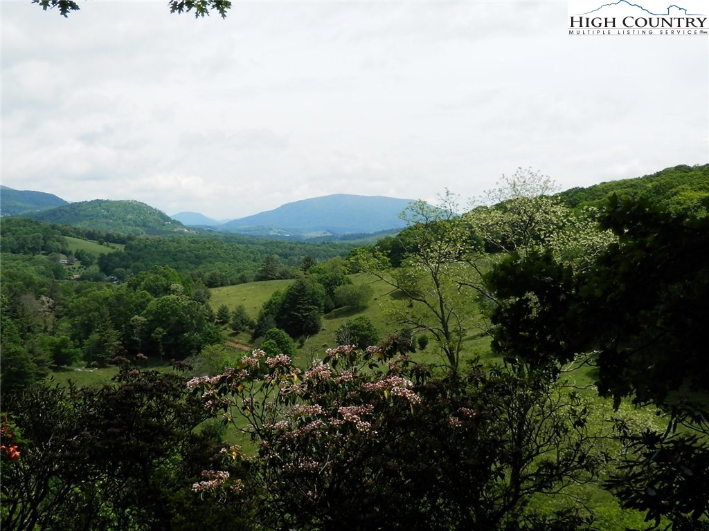 331 Yellow Bear Road Todd, NC 28684 - Photo 1 of 28 Gallery Image 1