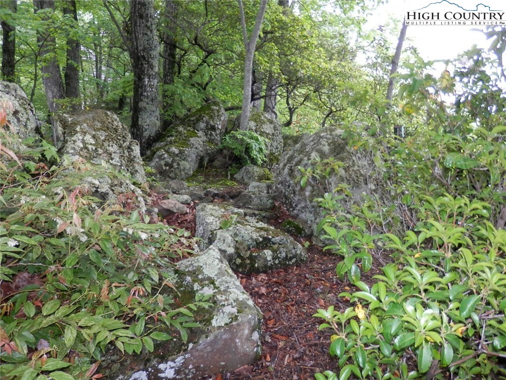 331 Yellow Bear Road Todd, NC 28684 - Photo 26 of 28 Gallery Image 26