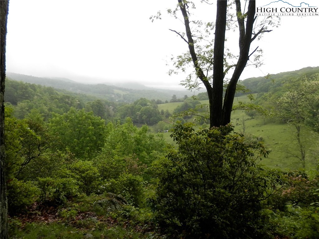 331 Yellow Bear Road Todd, NC 28684 - Photo 27 of 28 Gallery Image 27