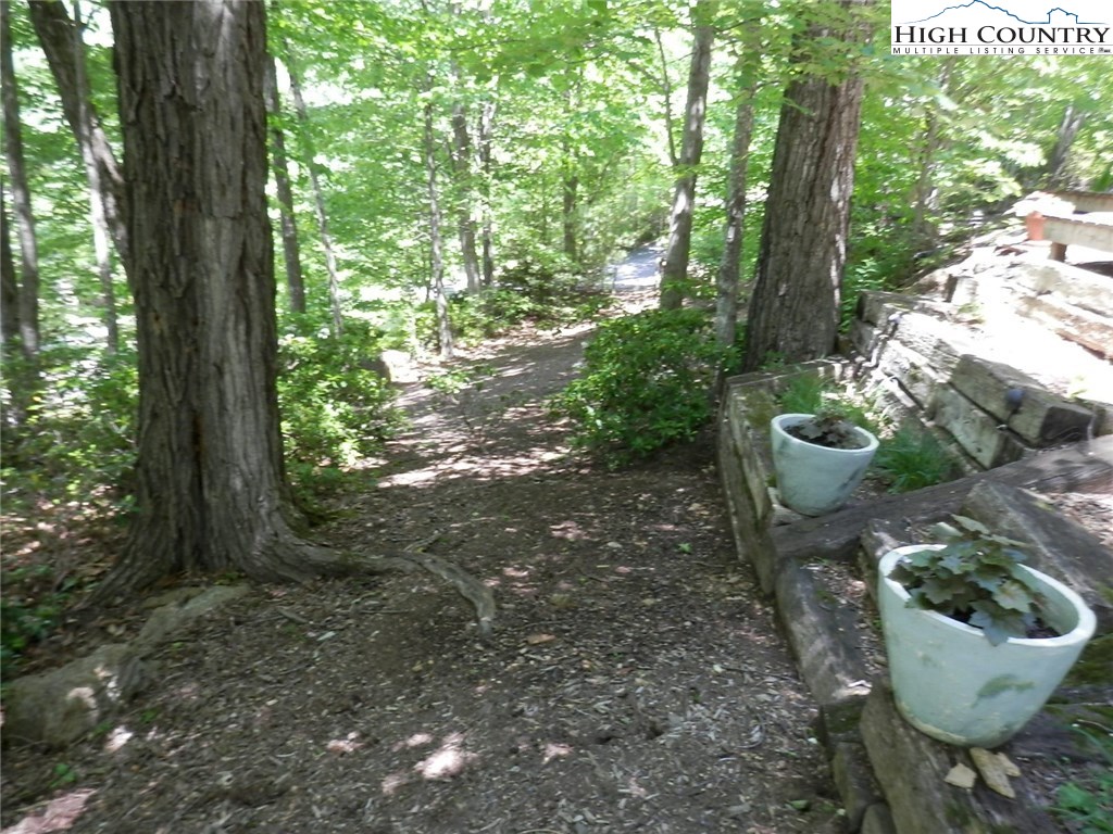 331 Yellow Bear Road Todd, NC 28684 - Photo 4 of 28 Gallery Image 4