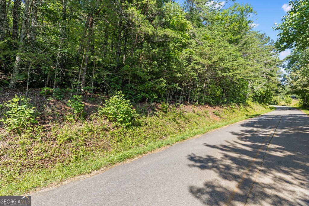 2-ac Ritchie Creek Road Blue Ridge, GA 30513 - Photo 4 of 12